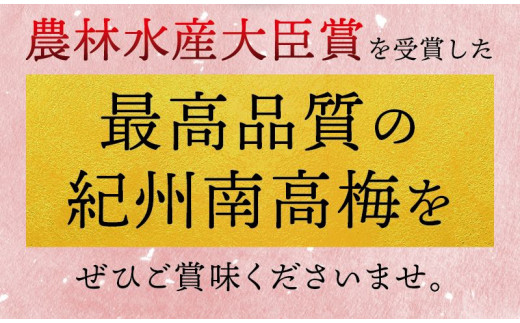 最高級紀州南高梅・大粒うす味梅干し 1.4kg【ご家庭用】【inm300A】