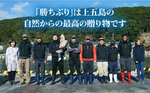 ぶり ブリ 鰤 ぶりしゃぶ しゃぶしゃぶ 刺身 鮮魚 海鮮 魚 五島 五島列島 鍋 年末 正月 日付指定 年内発送 年内配送