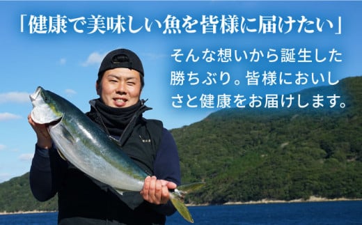 ぶり ブリ 鰤 ぶりしゃぶ しゃぶしゃぶ 刺身 鮮魚 海鮮 魚 五島 五島列島 鍋 年末 正月 日付指定 年内発送 年内配送