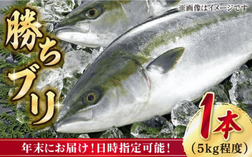 ぶり ブリ 鰤 ぶりしゃぶ しゃぶしゃぶ 刺身 鮮魚 海鮮 魚 五島 五島列島 鍋 年末 正月 日付指定 年内発送 年内配送