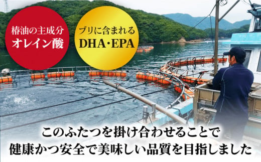 ぶり ブリ 鰤 ぶりしゃぶ しゃぶしゃぶ 刺身 鮮魚 海鮮 魚 五島 五島列島 鍋 年末 正月 日付指定 年内発送 年内配送