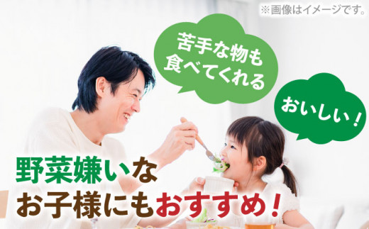 玉ねぎドレッシング の「たまっしんぐ」プレーン大2本・ゆず1本」《築上町》【かなえ工房】 [ABAH002] 10000円 1万円