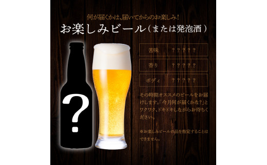 【12ヶ月定期便】宮崎ひでじビールお楽しみ6本セット N073-YZG098