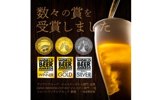 【12ヶ月定期便】宮崎ひでじビールお楽しみ6本セット N073-YZG098