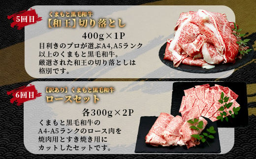 【定期便6回】くまもと黒毛和牛味わい定期便～合計3kg 