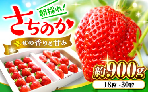 いちご 贈答 ギフト 特産品 産地直送 取り寄せ お取り寄せ 送料無料 広島 三次 14000円