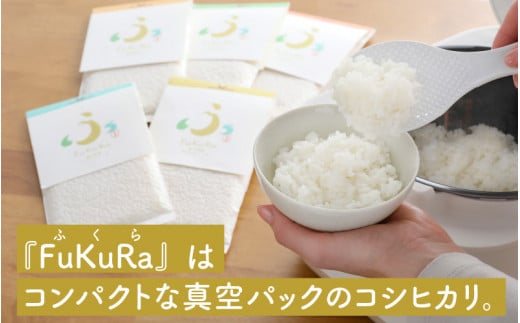 【令和6年産 新米】無洗米 真空 パック こしひかり 1合 15パック 『FuKuRa』