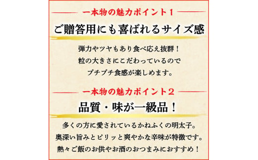 かねふく〈無着色〉辛子明太子170g(一本物)とチューブ明太子500gセット [a9096] 藤井乾物店 ※配送不可：離島【返礼品】添田町 ふるさと納税