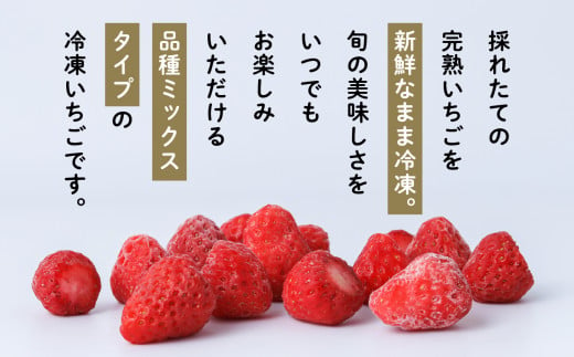 《 訳あり 》 冷凍いちご 食べきり 規格外 不揃い 完熟 国産 採れたて 20袋 真空 個包装 バラ冷凍 ヘタなし 葉なし 冷凍 選べる いちご 苺 人気 送料無料【フルーツパークDETO】