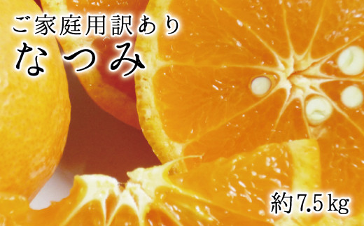 【ご家庭用訳アリ】初夏のみかん なつみ7.5kg　※2025年3月下旬〜2025年4月中旬頃に順次発送予定(お届け日指定不可)【uot733】