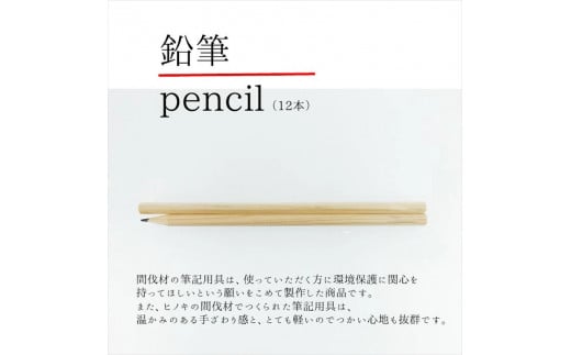 小田原・箱根の間伐材 ヒノキの鉛筆12本_109054★書写　書き方　2B　新1年生【鉛筆 えんぴつ 卒園記念 卒園記念品 卒園 卒業 入学祝い 準備 記念品 ギフト プレゼント 保育園 幼稚園 小学生 無地 シンプル 神奈川県 小田原市 】