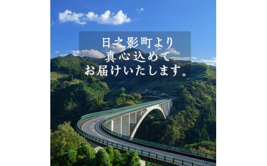 犬のおやつ 鹿ジャーキー(3袋) 鹿 ジビエ 鹿肉 ペットフード ジャーキー 【TT006】【一般社団法人 ツーリズム高千穂郷】