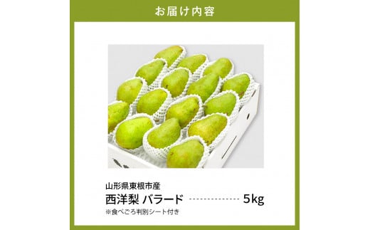 【令和6年産 先行予約】西洋梨バラード5kg　秀品　化粧箱入り 山形県 東根市 東根農産センター提供 hi027-137