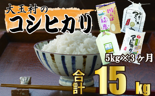 米 定期便 コシヒカリ 5kg × 3ヶ月 (計 15kg )  福島県 大玉村 ｜ 定期 3回 精米 白米 コメ 安達太良 こしひかり ｜