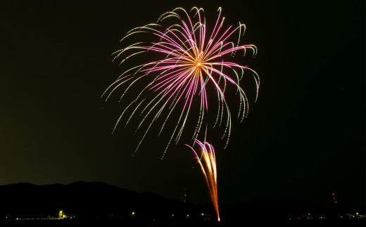 プライベート花火（個人向け打ち上げ花火） 2～4号玉 計30発