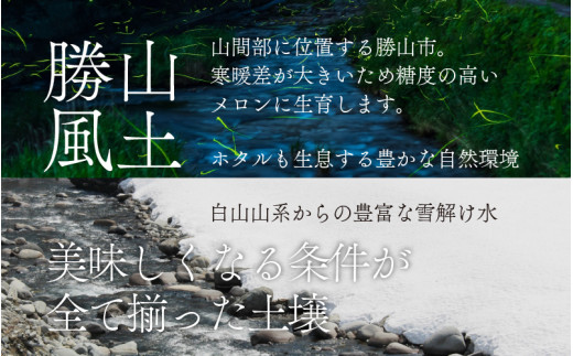 勝山産アールスメロン 2個入り 化粧箱（赤肉・青肉セット） ※2024年7月下旬～8月中旬頃発送[A-060004]