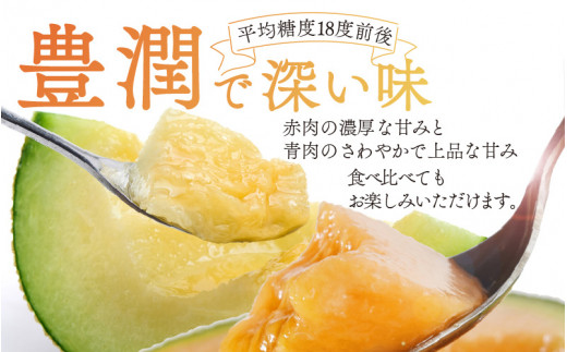 勝山産アールスメロン 2個入り 化粧箱（赤肉・青肉セット） ※2024年7月下旬～8月中旬頃発送[A-060004]