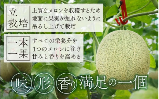 勝山産アールスメロン 2個入り 化粧箱（赤肉・青肉セット） ※2024年7月下旬～8月中旬頃発送[A-060004]