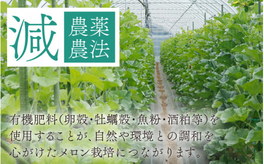 勝山産アールスメロン 2個入り 化粧箱（赤肉・青肉セット） ※2024年7月下旬～8月中旬頃発送[A-060004]