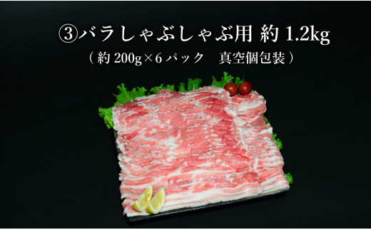 【計4.2kg 3種食べ比べ】 ありたぶた 3種 しゃぶしゃぶセット 計4.2kg 小分け 真空パック 豚肉 モモ もも ロース バラ しゃぶしゃぶ 赤身 切り落とし N30-32