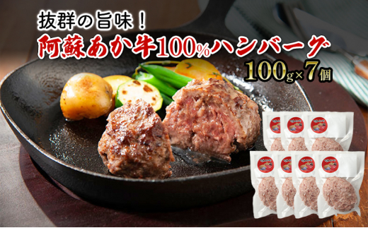 ハンバーグ 阿蘇 あか牛 100% 100g×7個 肉 牛肉 お肉 にく 配送不可：離島