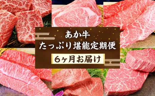 【6ヶ月定期便】あか牛 たっぷり堪能 定期便 合計 約3.3kg 牛肉