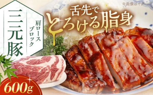 】 肉 豚肉 ロース ブロック ローストポーク 煮豚 酢豚 煮物 冷凍配送 