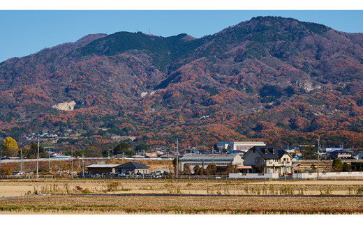 筑波山麓・羽鳥の沢水米 コシヒカリ 5㎏ 米 お米 コメ 精米 白米 桜川市 茨城県 [BN002sa]