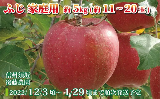 [No.5657-2707]ふじ 家庭用 約11～20玉（約5kg）《後藤農園》■2022年～2023年発送■※12月上旬頃～1月下旬頃まで順次発送予定