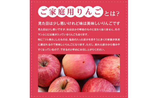 ご家庭用 信州りんご5kg_ 訳あり わけあり ワケアリ りんご 林檎 リンゴ フルーツ 果物 ふるーつ くだもの 国産 旬 家庭用 規格外 傷 不揃い 産地直送 信州 長野 人気 品種 送料無料 産直 【1246339】