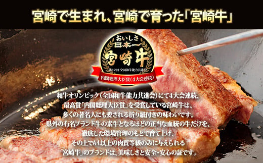 宮崎牛定期便[3ヶ月]ステーキ・焼肉 合計1200g 　　黒毛和牛のステーキや焼肉を3回に分けて発送！ ［国産 ブランド牛 お肉 ステーキ　焼肉 50000円 5万円］ TF0684-P00020