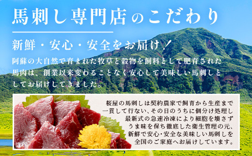 【定期便6回】熊本県 赤身 馬刺し 約200g×6回