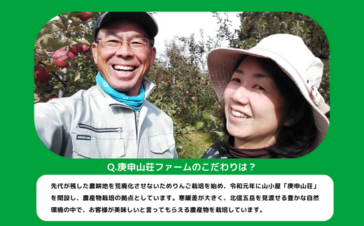 りんごジュース1000ml × 2本 庚申山荘ファーム 沖縄県への配送不可  飲料  ジュース りんご ふじ 王林 ｼﾅﾉｽｲｰﾄ 信州 9000円 農家直送 長野県 飯綱町 [1792]