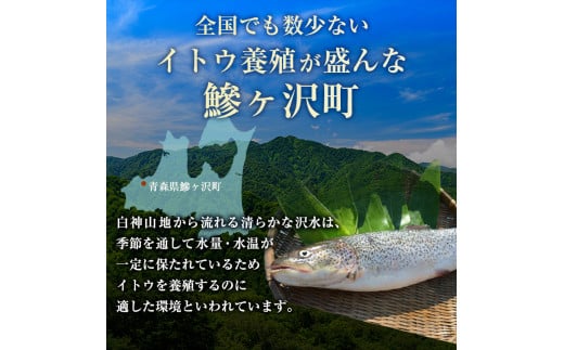 幻の魚 イトウ うす造り 170g 真空冷凍パック 冷凍 お造り 川魚 魚介 魚介類 海鮮 刺し身 お刺身 刺身 おかず おつまみ つまみ お酒のつまみ 酒のつまみ 幻 魚 青森 青森県 鰺ヶ沢町