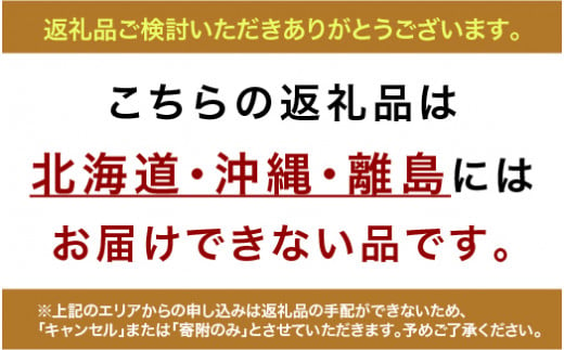 シクラメン (お色おまかせ)  5号鉢　【花】　※北海道・沖縄・離島への配送不可　※2024年11月下旬～12月上旬頃に順次発送予定