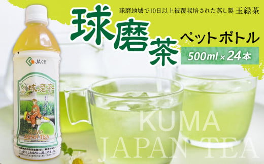 【2023年4月下旬発送開始】 球磨茶 ペットボトル 500l×24本 緑茶 熊本県 水上村