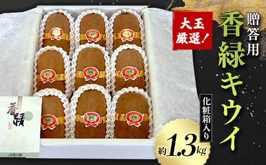 【先行予約】《贈答用》大玉厳選！香緑キウイ 化粧箱入り (約1.3kg) フルーツ 果物 くだもの キウイ 香緑 贈答用 ギフト 贈り物 デザート キウイフルーツ 食品 名産 四国 F5J-671