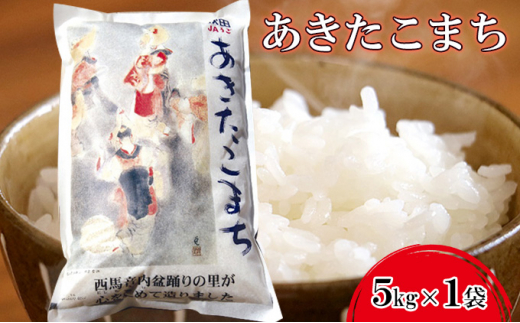 【令和6年度産　11月中旬以降発送】粒がひと回り大きい 高品質米 盆踊りあきたこまち 5kg