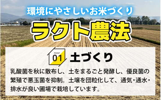 【令和6年産 新米】福井県産 ラクト農法 コシヒカリ　10kg