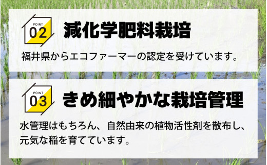 【令和6年産 新米】福井県産 ラクト農法 コシヒカリ　10kg