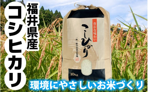 【令和6年産 新米】福井県産 ラクト農法 コシヒカリ　10kg