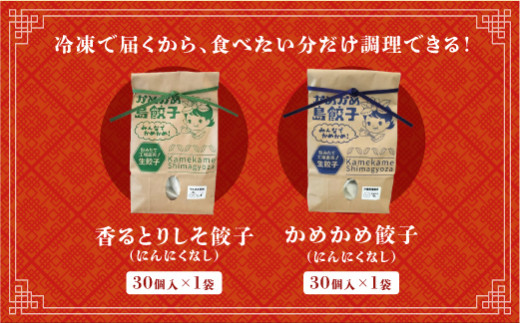 餃子 冷凍 かめかめ島餃子（豚肉・やんばる若鶏 にんにくなし）（ 30個 × 2袋 ）