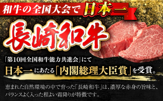 【日本一の和牛】【プレミアム】長崎和牛 ヒレ まるごと1本 3kg前後 牛肉 ステーキ 【合同会社　肉のマルシン】 [RCI009]