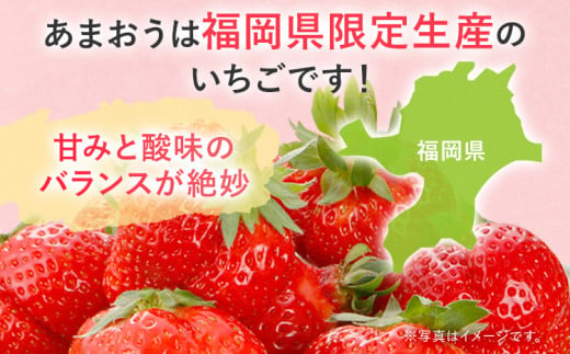 【2025年先行予約】春のあまおう(G規格以上約280g x 4パック) お取り寄せグルメ お取り寄せ 福岡 お土産 九州 福岡土産 取り寄せ グルメ 福岡県