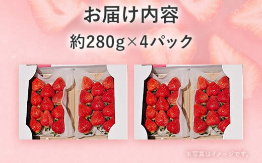 【2025年先行予約】春のあまおう(G規格以上約280g x 4パック) お取り寄せグルメ お取り寄せ 福岡 お土産 九州 福岡土産 取り寄せ グルメ 福岡県