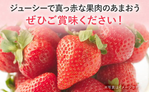 【2025年先行予約】春のあまおう(G規格以上約280g x 4パック) お取り寄せグルメ お取り寄せ 福岡 お土産 九州 福岡土産 取り寄せ グルメ 福岡県