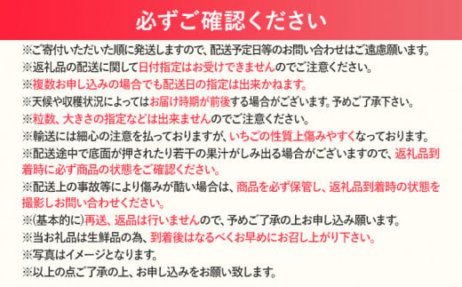 【2025年先行予約】春のあまおう(G規格以上約280g x 4パック) お取り寄せグルメ お取り寄せ 福岡 お土産 九州 福岡土産 取り寄せ グルメ 福岡県