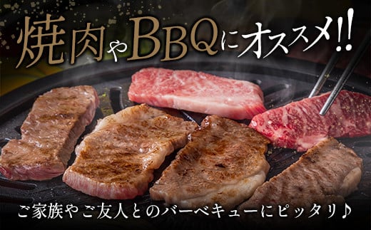 ＜肉質等級4等級＞宮崎牛・豚・ウィンナー 人気のBBQ肉 セット 合計1.4kg以上 国産 肉 牛肉 豚肉 焼肉 おかず バーベキュー【C424-24-30】