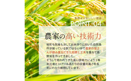 *【12回定期便】ファームいちまる 安曇野松川村産コシヒカリ5kg | 定期便 定期 12回 米 白米 精米 コシヒカリ こしひかり お米 おこめ 長野県 松川村 信州