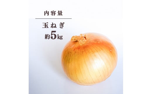 長野県産玉ねぎ5kg